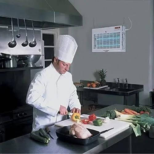 SYLVANIA 20W E27 BL368 bulb, chef in a white uniform chops peppers in a stainless kitchen. UAE