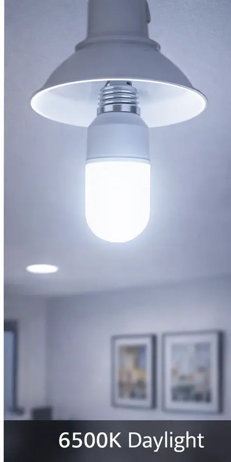 Osram LED Value Stick Lamp 12W E27 frosted bulb in ceiling fixture, 6500K daylight label visible. UAE