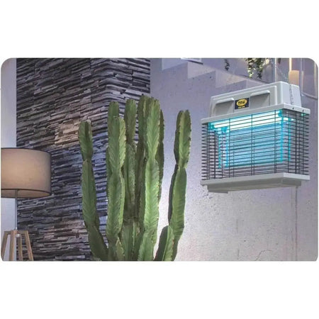 Mo-el Cri Cri 309 insect killer UV-A electric bug zapper on exterior wall with blue glow beside a cactus. UAE
