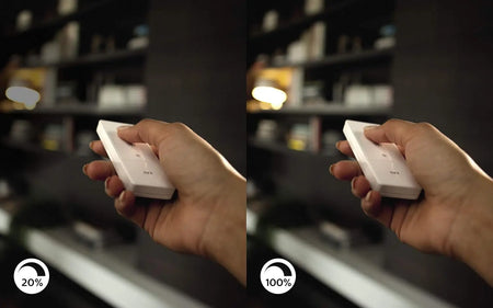 Philips Hue Dimmer Switch white with wall plate