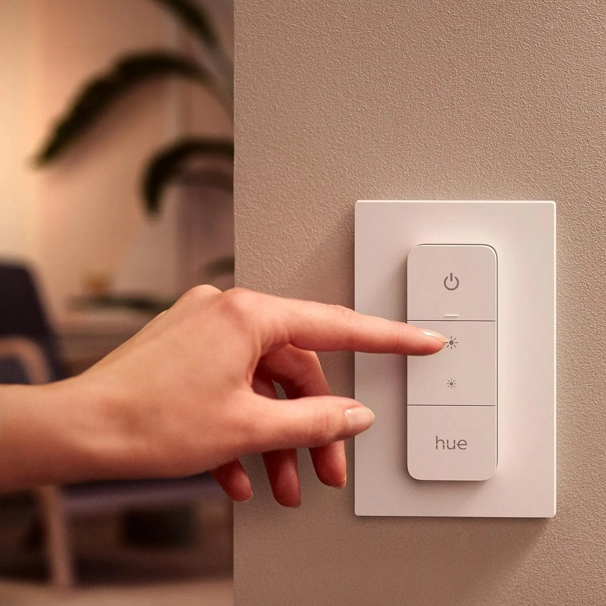 Philips Hue Dimmer Switch smart lighting scene control