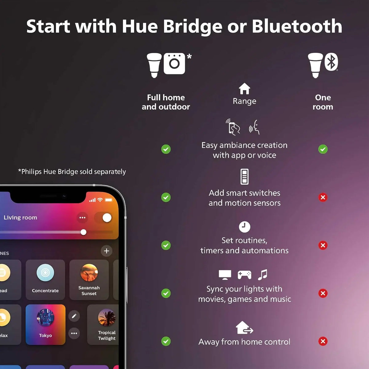 Philips Hue Play Gradient Lightstrip 65 inch kit with power supply and mounts