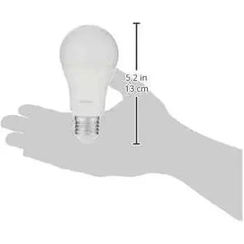 Philips Essential LED Bulb, 13W E27, 6500K Cool Daylight, 230V, held in hand UAE